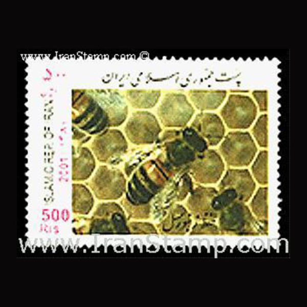 2894 – حفظ زنبور عسل - Image 1