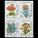 10036 – مجموعه سالانه 1362 - Image 23