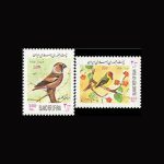 10053 – مجموعه سالانه 1379 - Image 12