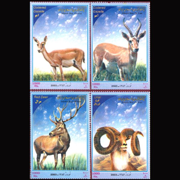 10055 – مجموعه سالانه 1381 - Image 11