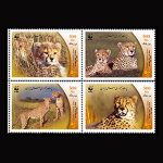 10056 – مجموعه سالانه 1382 - Image 10