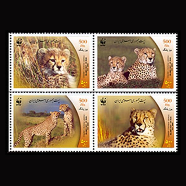 10056 – مجموعه سالانه 1382 - Image 10