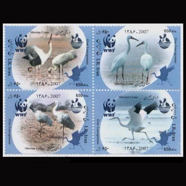 10060 – مجموعه سالانه 1386 - Image 11