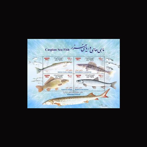 10069 – مجموعه سالانه 1392 - یادگاری و اختصاصی - Image 6