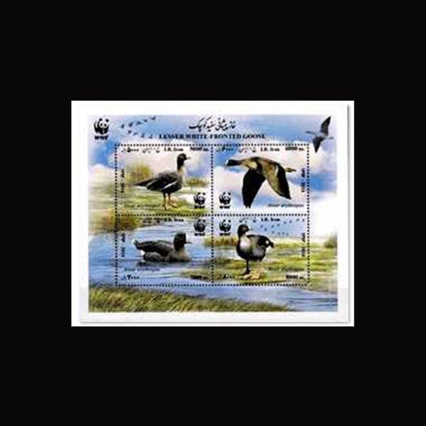 10073 – مجموعه سالانه 1394 - یادگاری و اختصاصی - Image 3