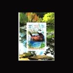 10080 – مجموعه سالانه 1398 - یادگاری و اختصاصی - Image 15